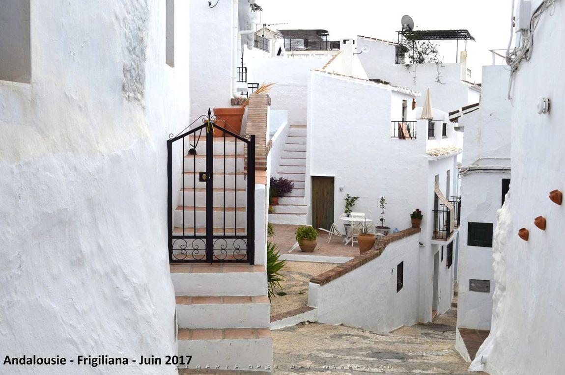 558 - Frigiliana.JPG
